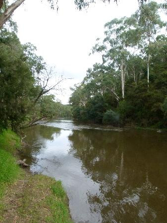 渥伦泰德省立公园-墨尔本必去景点