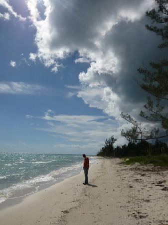 Taino Beach-弗里波特必去景点