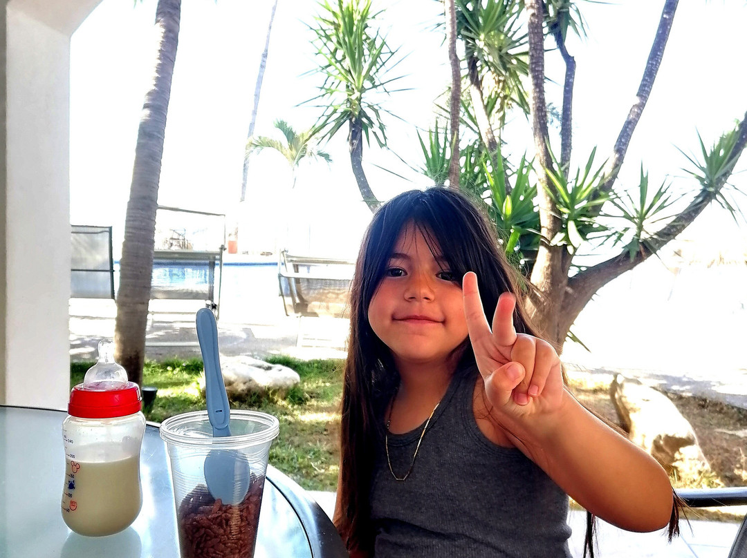 Los Picos Hotel & Suites Bucerias主图