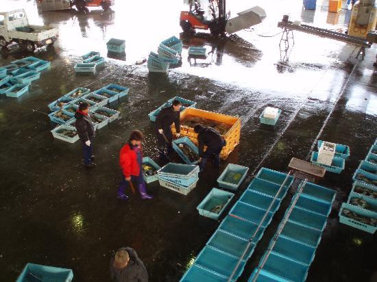 Kesennuma Fish Market-气仙沼市必去景点