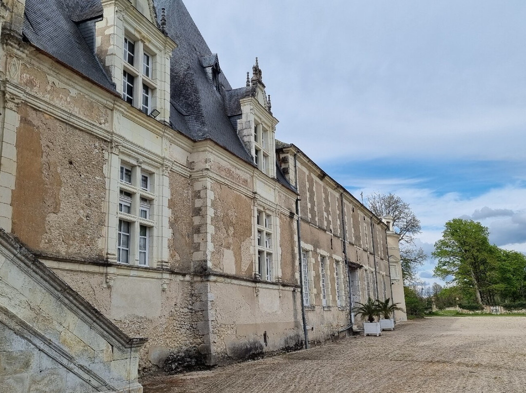 Chateau de Villesavin景点图片