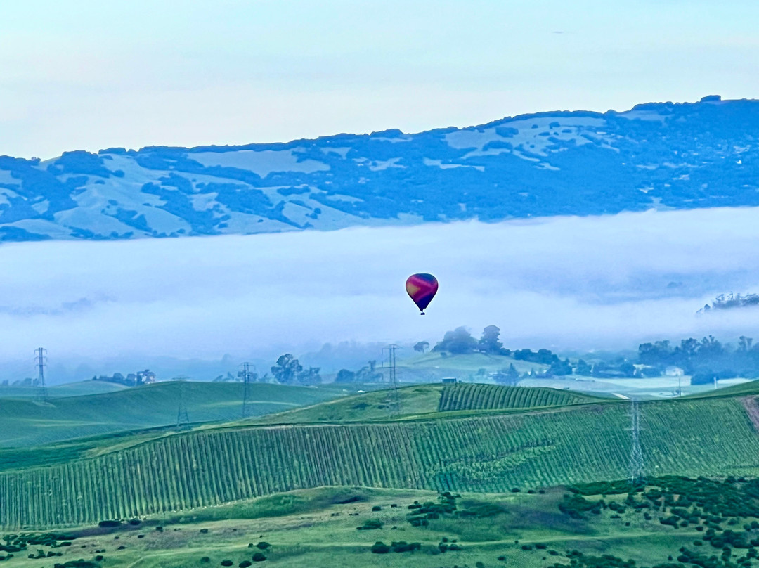 Sonoma Ballooning Adventures景点图片