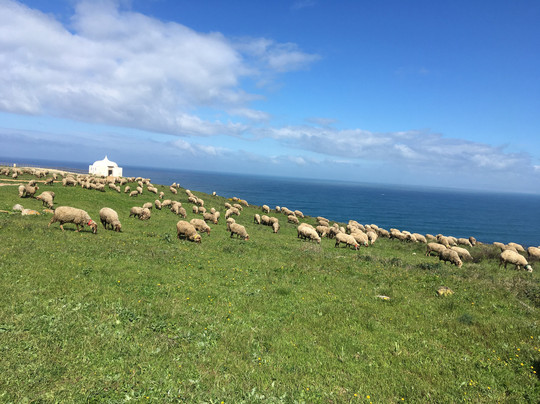 Natalia Portugalia Tours