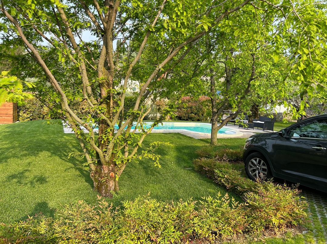 Bed and Breakfast Bure Alto
