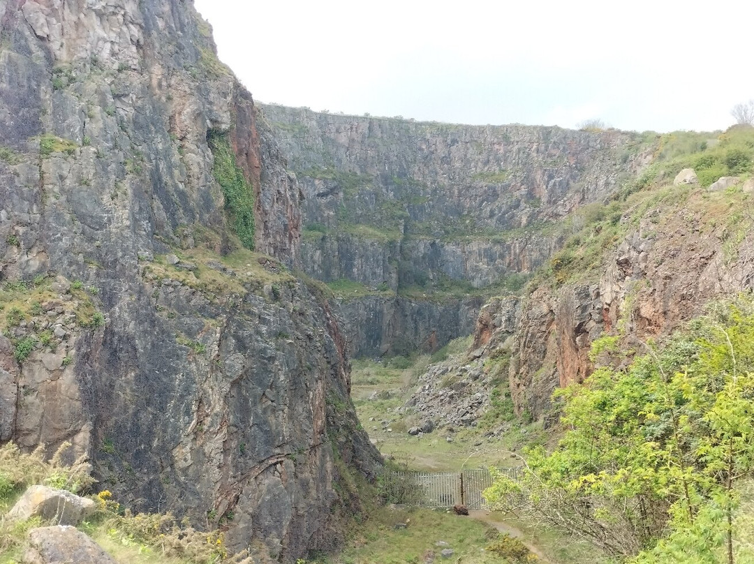Berry Head National Nature Reserve景点图片