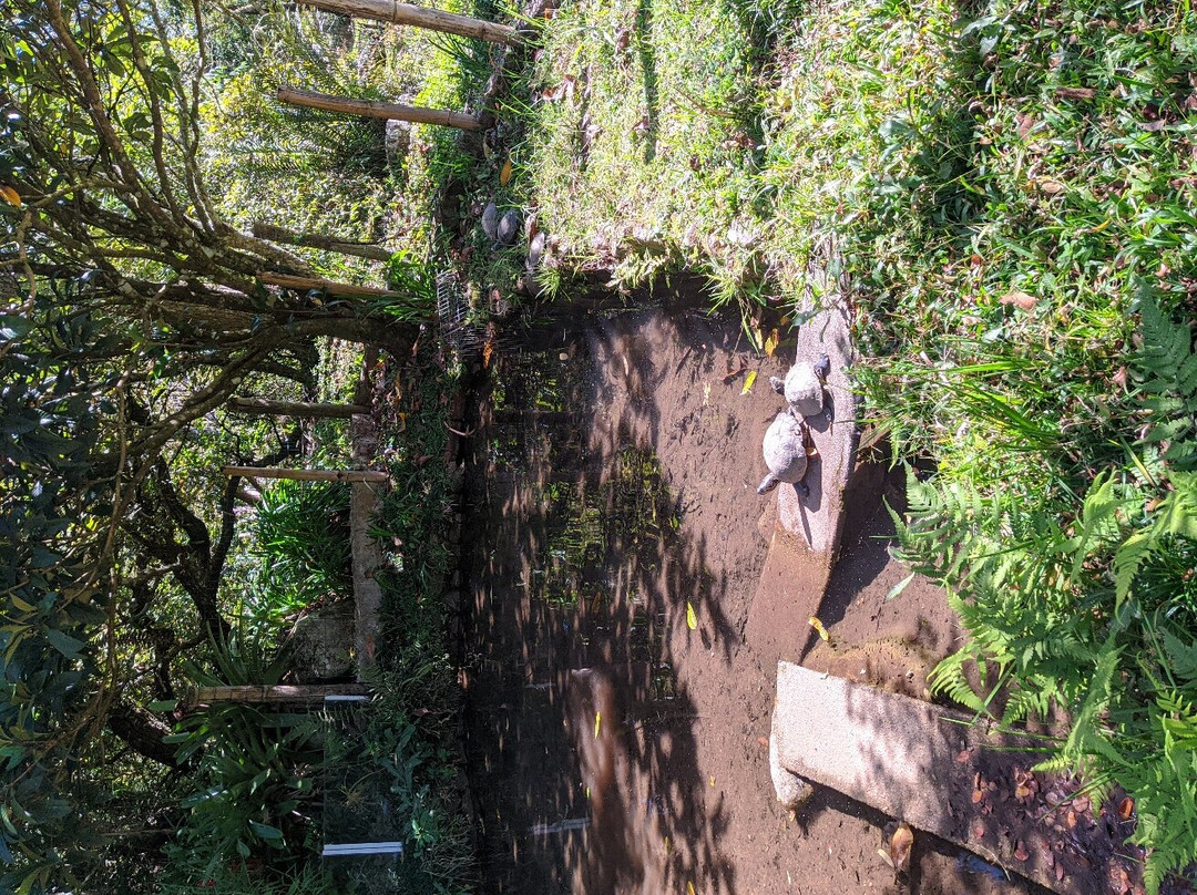 Fazenda Renopolis-圣安东尼奥杜皮尼亚尔必去景点