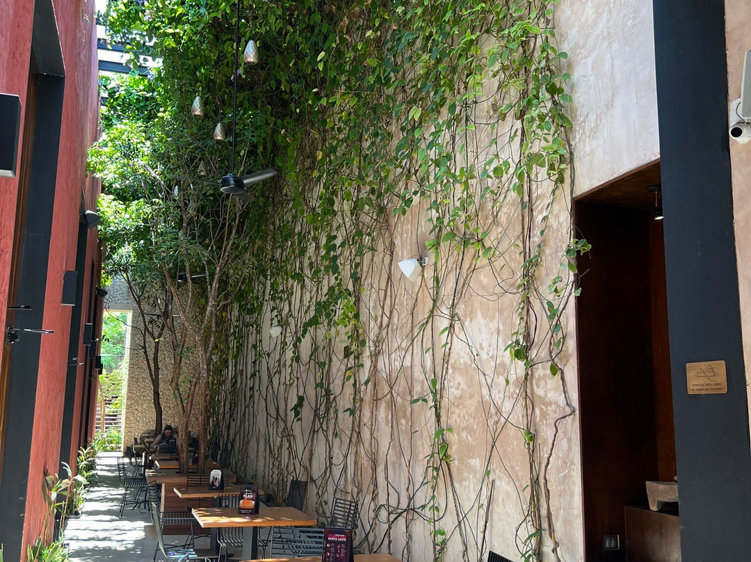 Restaurante Hacienda Teya