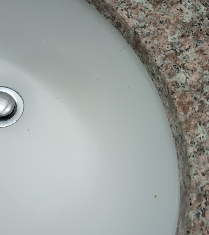 Super 8 by Wyndham Gainesville TX主图