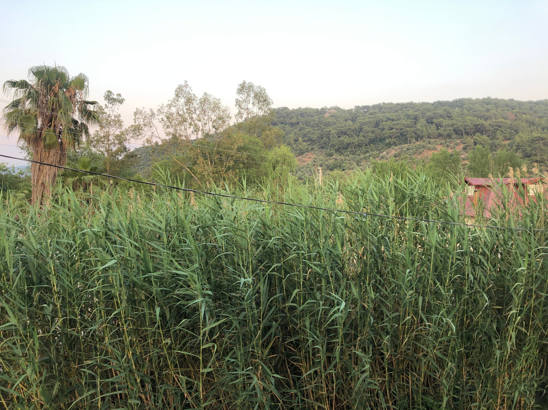 Rivaesta Butik Hotel主图