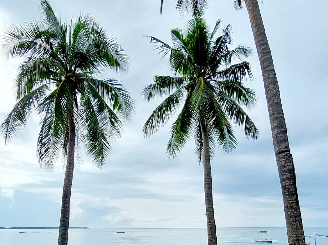 Trishcia's Guest House