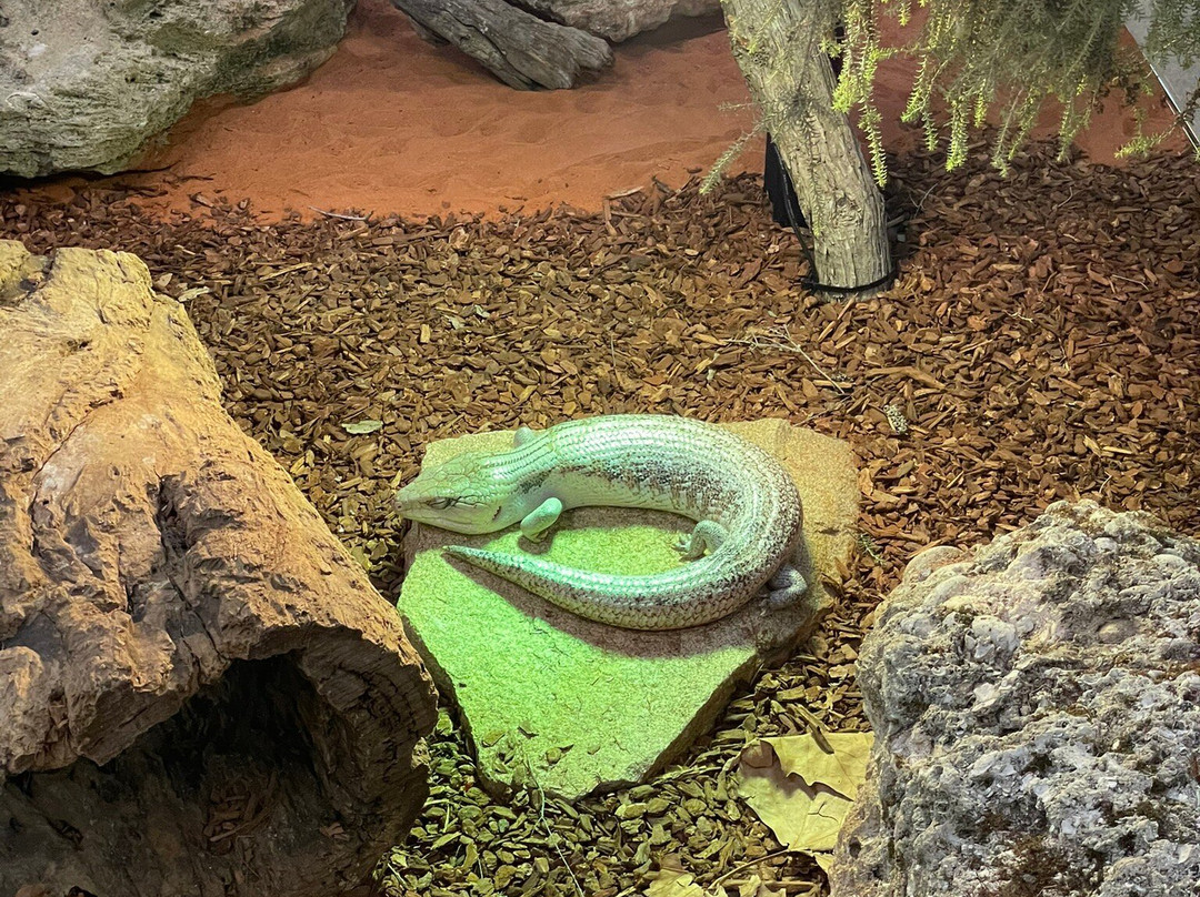 Bunbury Wildlife Park-班伯利必去景点