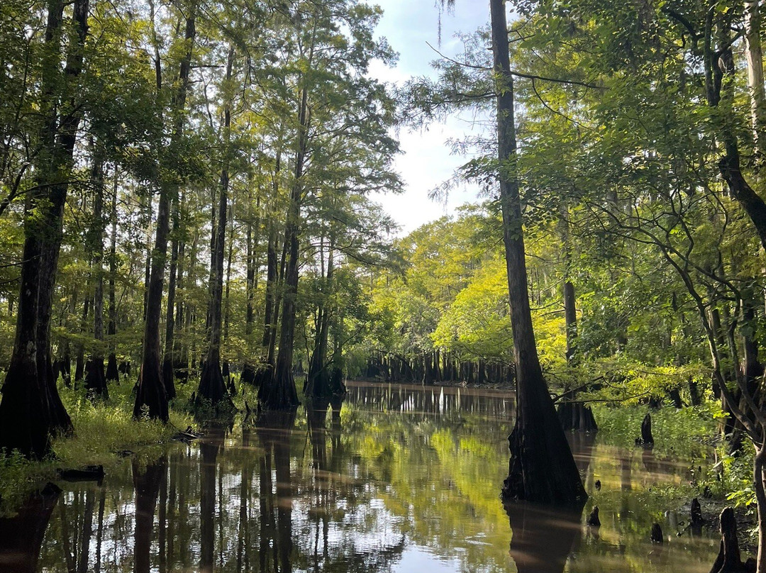 A-Awesome Airboat Rides-Christmas必去景点
