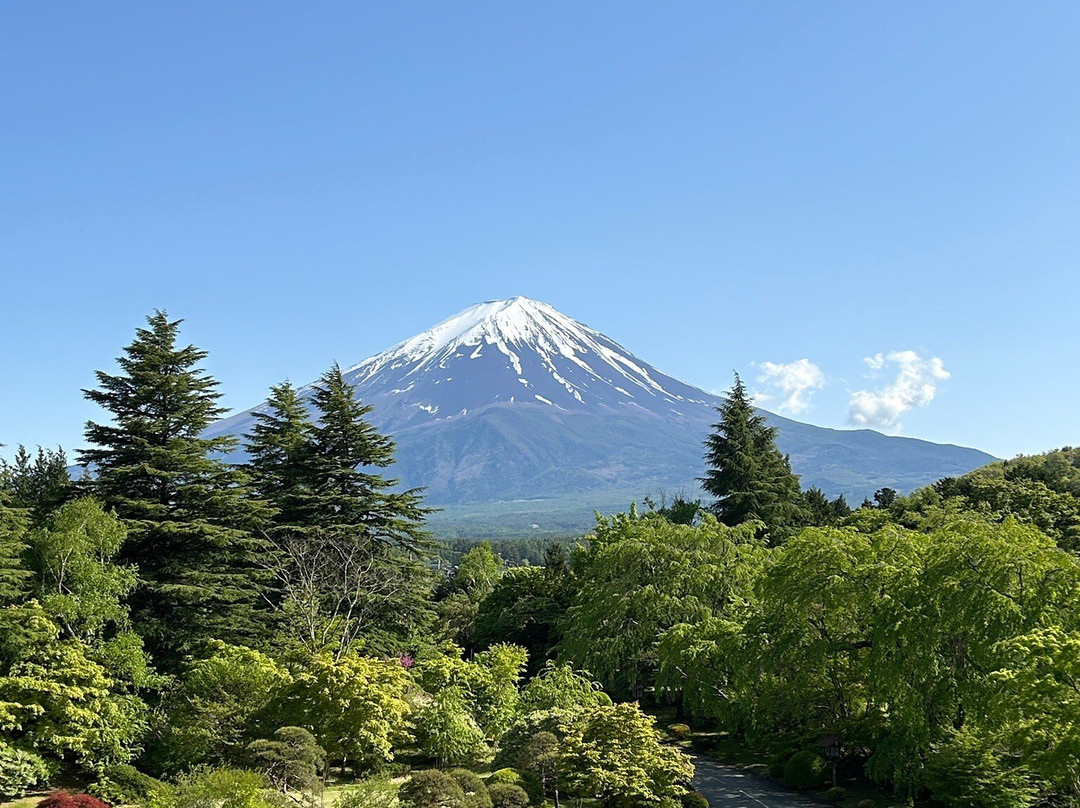 Fuji View Hotel Japanese Garden景点图片