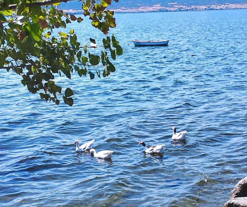 Lake Volvi-Mikri Volvi必去景点
