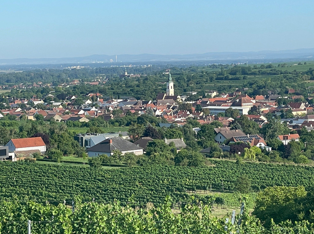 Weinweg Langenlois景点图片