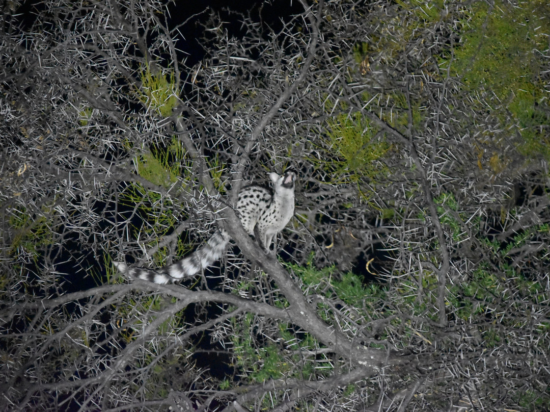 Mountain Zebra National Park景点图片