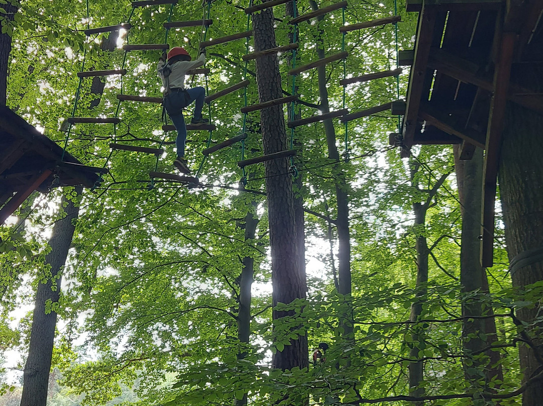 Schnurstracks Kletterpark Rietberg景点图片