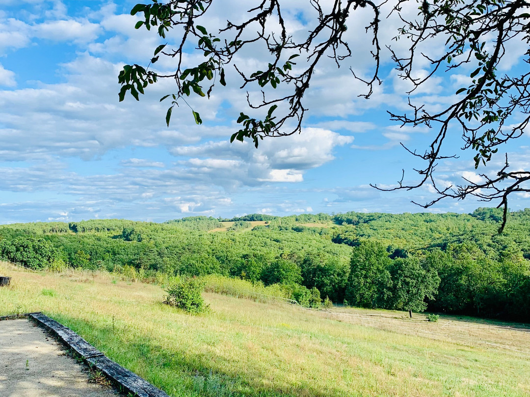 Domaine des Compouzines主图