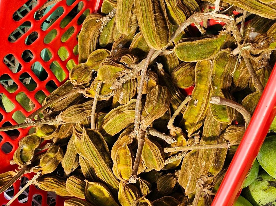 Pasar Wisata Jabe Puri Gede Pancasari景点图片