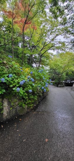 Negiya 陵枫阁主图