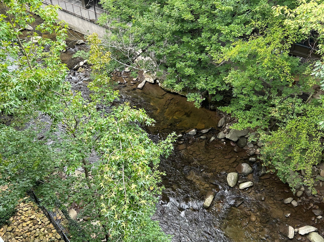 Bearskin Lodge on the River Hotel主图