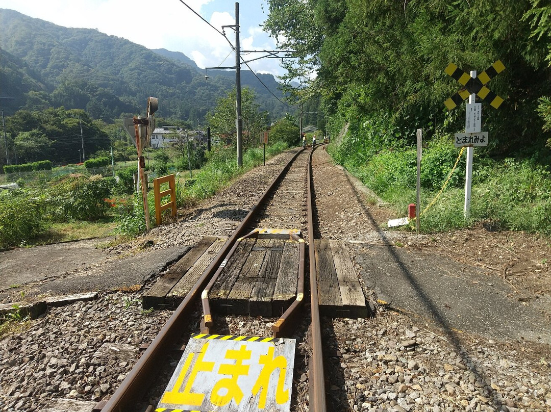 Agatsumakyo Rail Bike Agatta景点图片