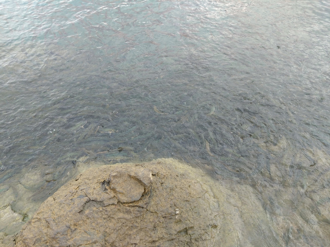 Statue of Tatsuko-仙北市必去景点