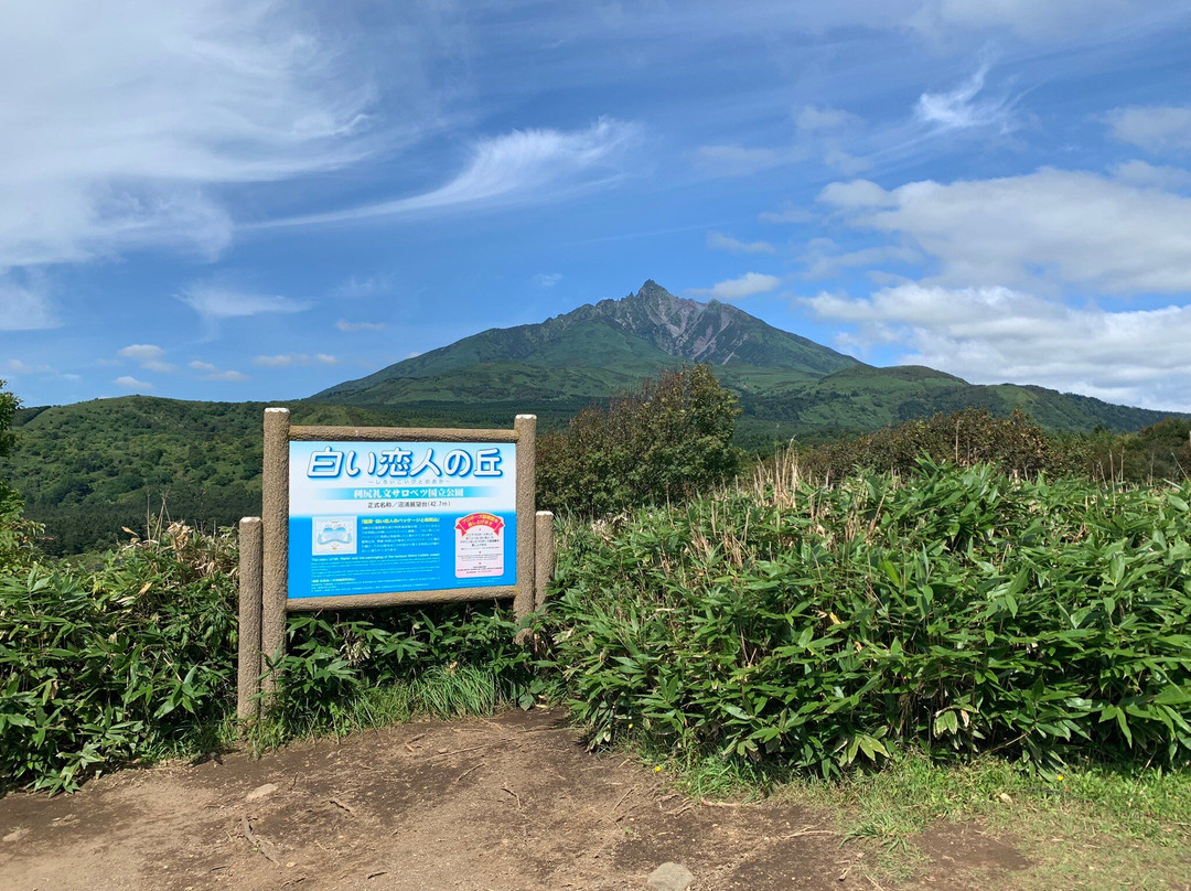 Numaura Observation Deck-利尻富士町必去景点