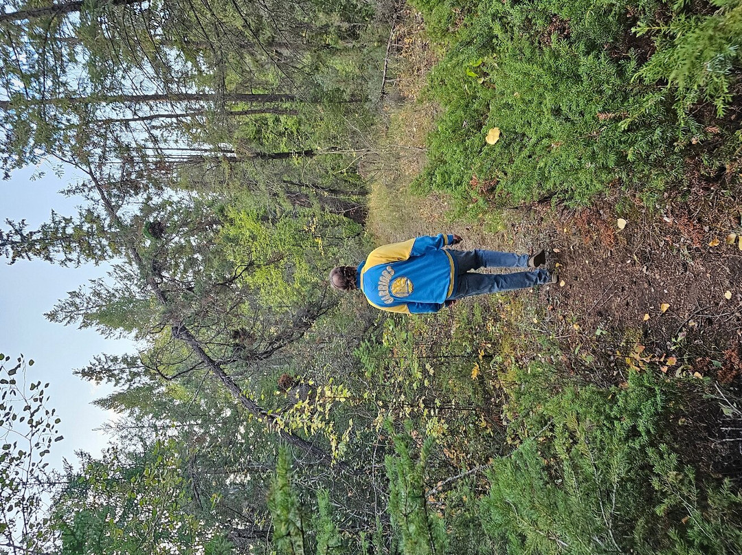 Windermere Creek Bed and Breakfast Cabins主图