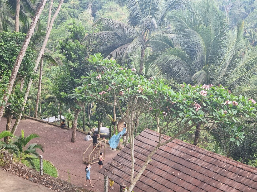 Picheaven Bali Swing-乌布必去景点