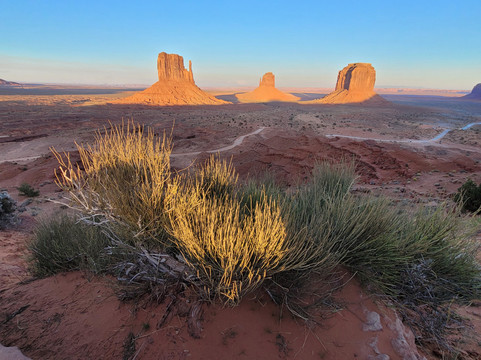 2 Wheels Deluxe-长滩必去景点