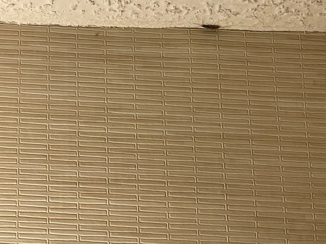 奥兰治堡费尔菲尔德客栈主图