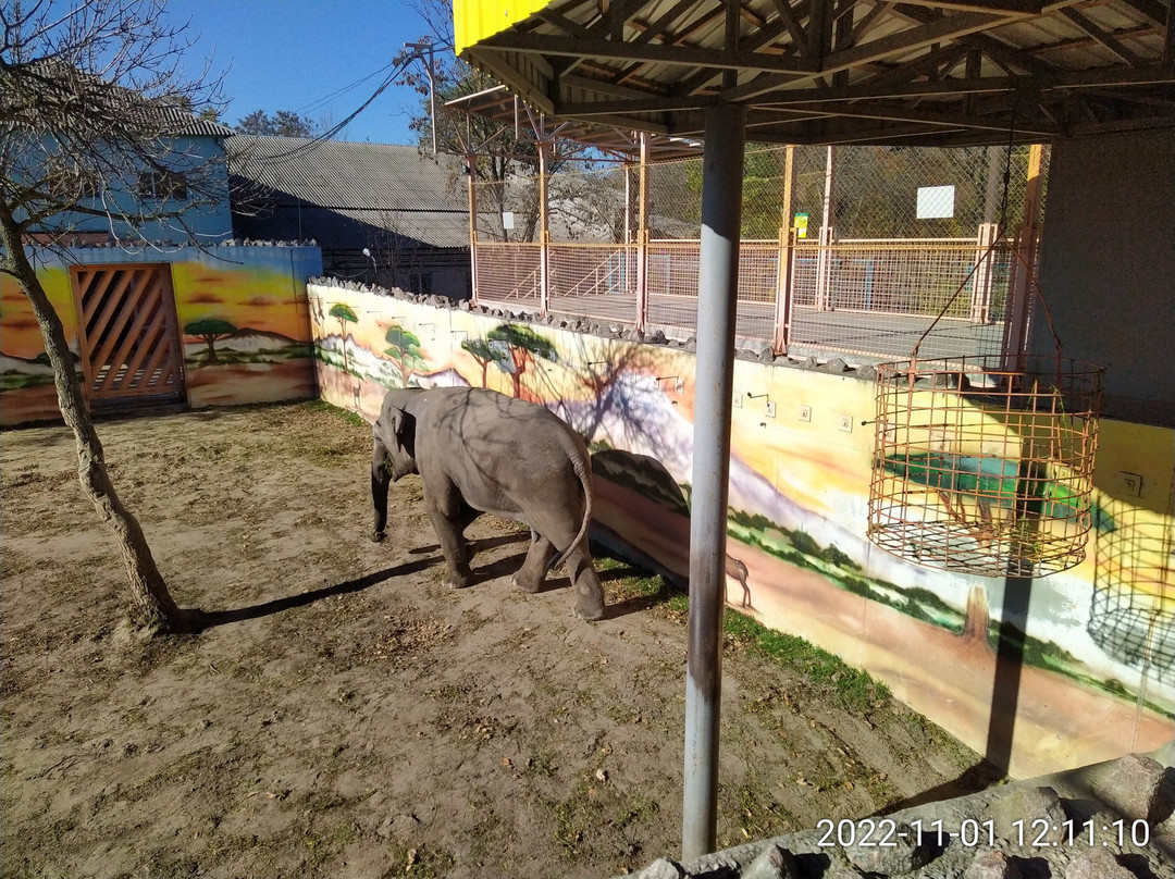 Nikolaev Zoo-Mykolaiv必去景点