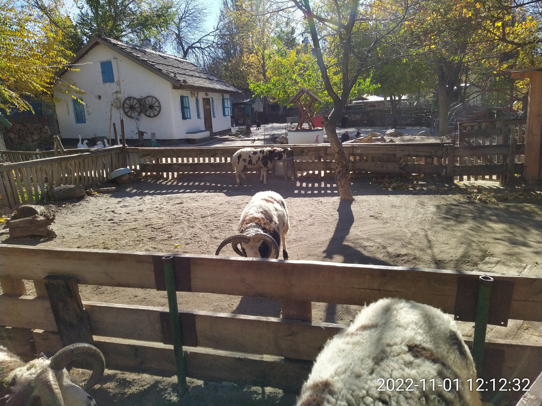 Nikolaev Zoo-Mykolaiv必去景点