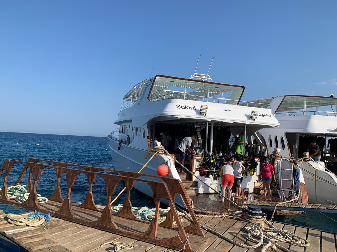 El-Mallah-Safaga必去景点