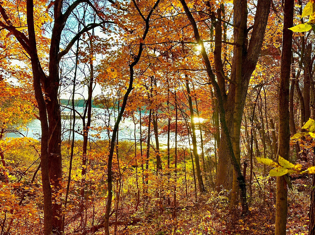 Morrison-Rockwood State Park-Morrison必去景点