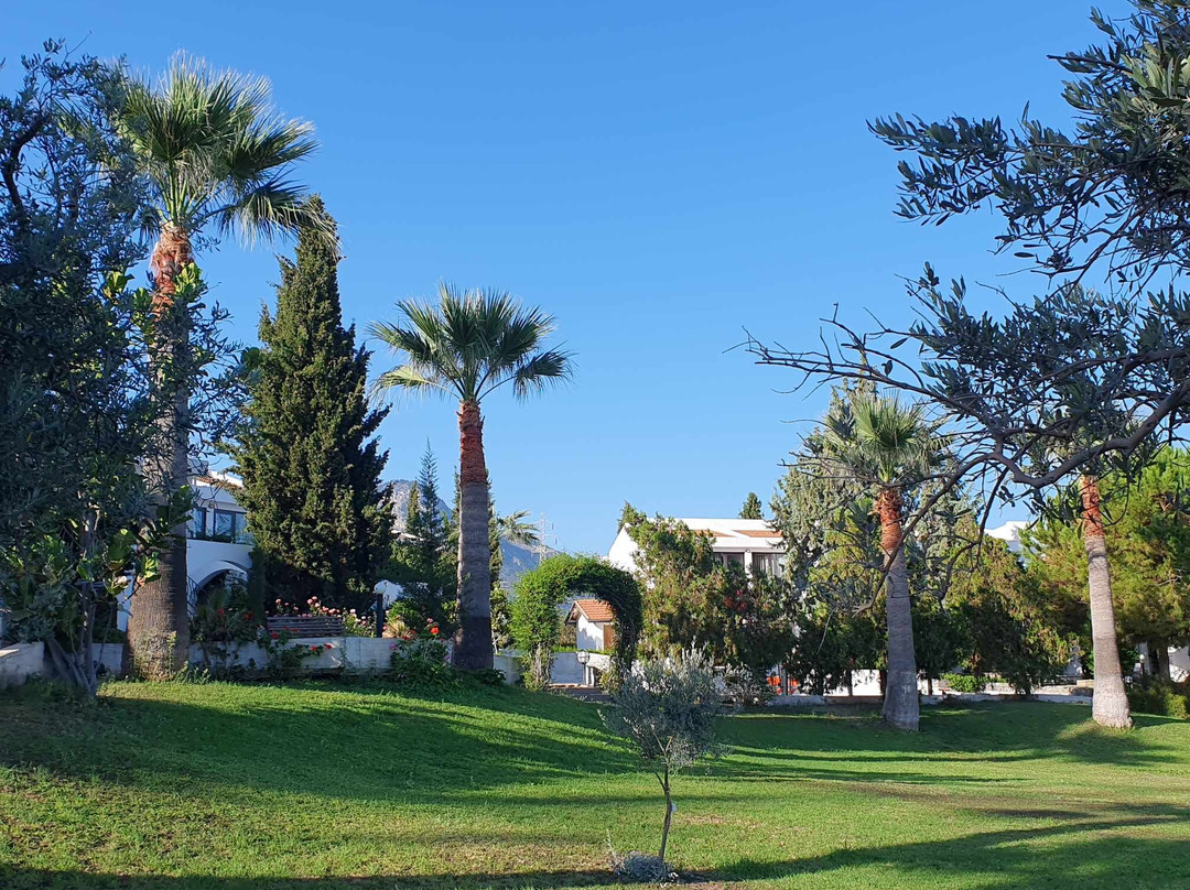 The Olive Tree Hotel主图