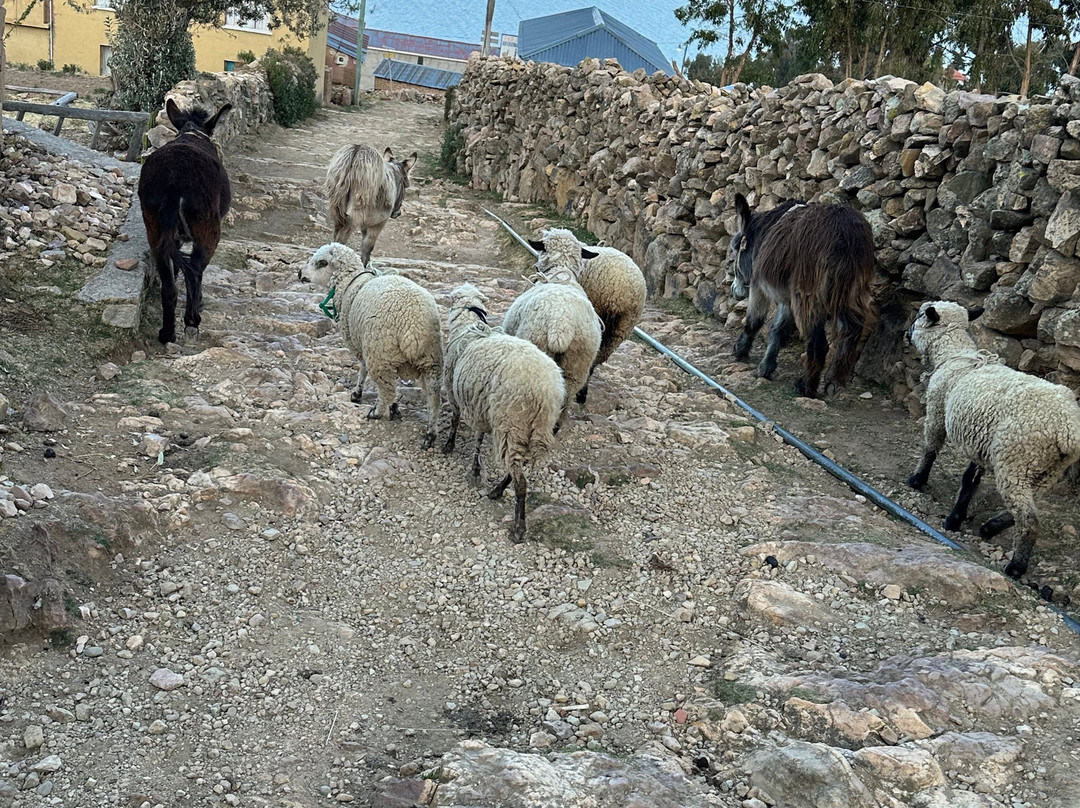 Posada Del Inca Eco-Lodge主图