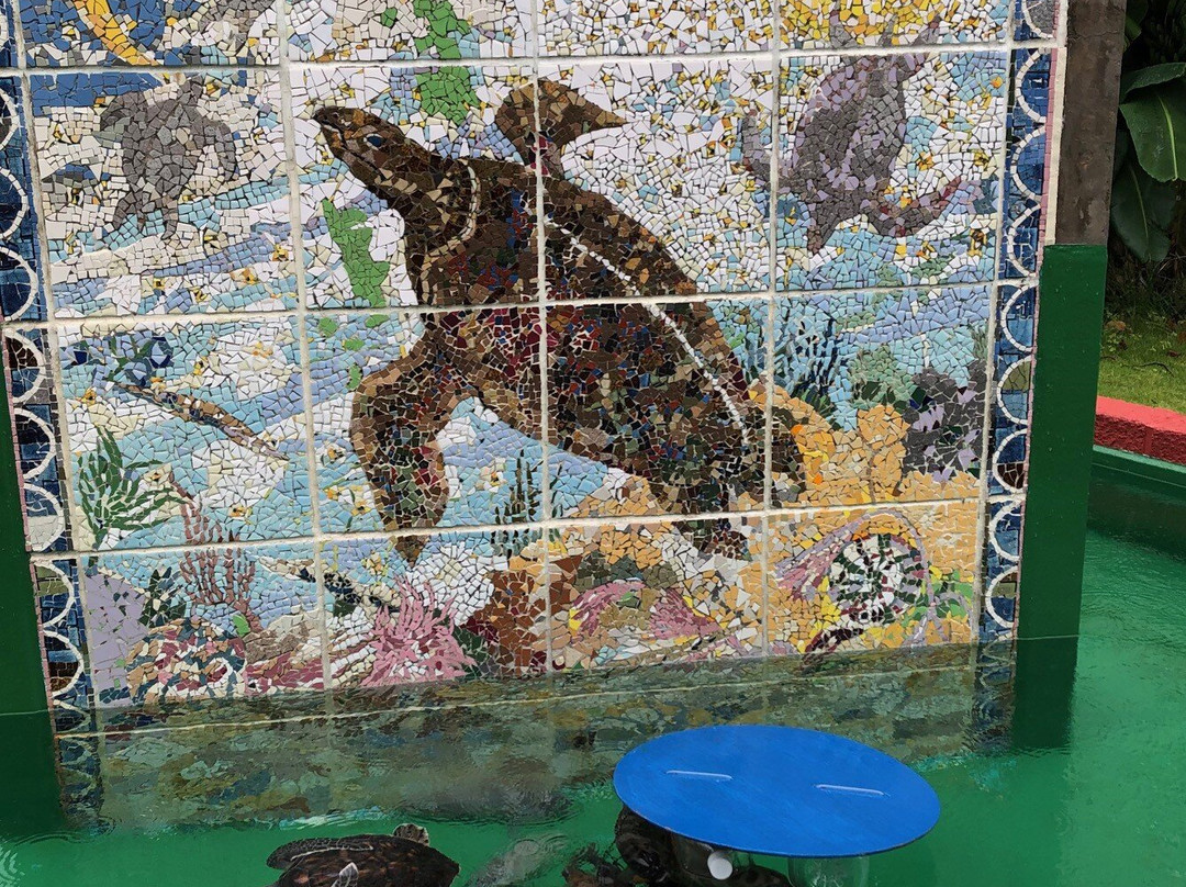 Ogasawara Marine Product Center-Chichi-jima必去景点