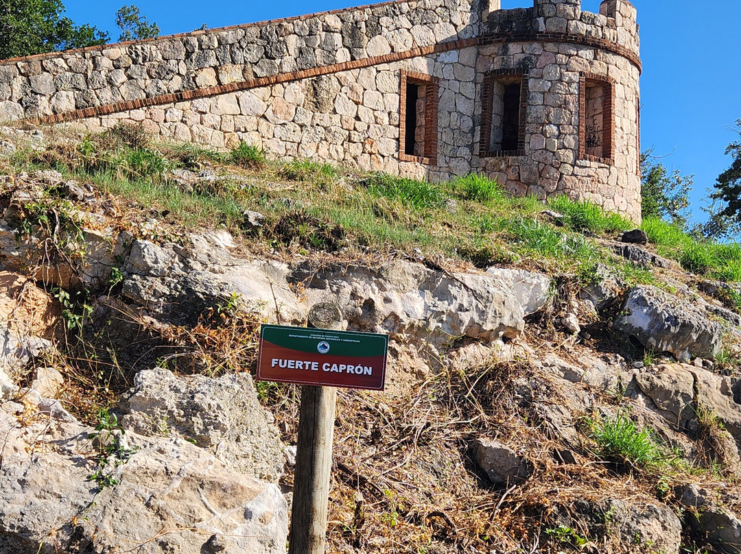 Bosque Estatal de Guánica景点图片