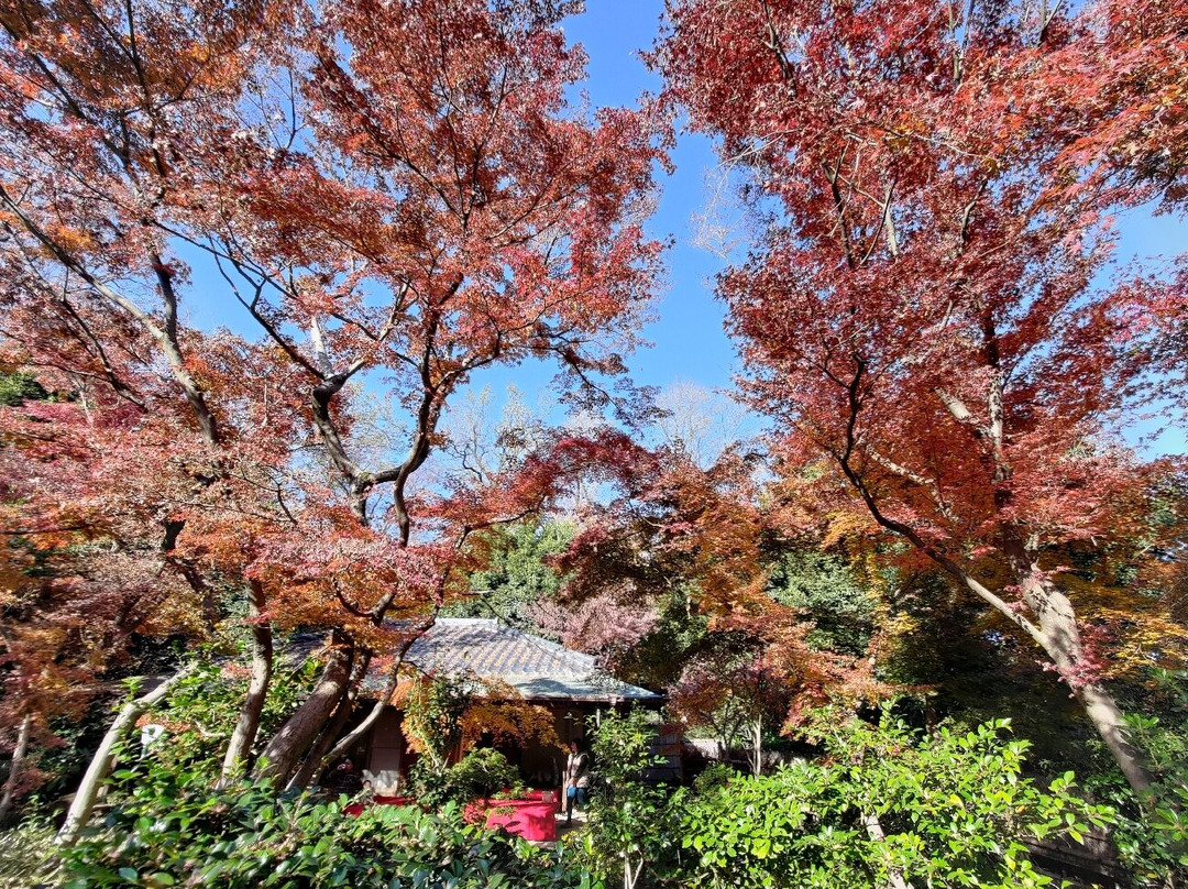 Kawaguchi Green Center-川口市必去景点