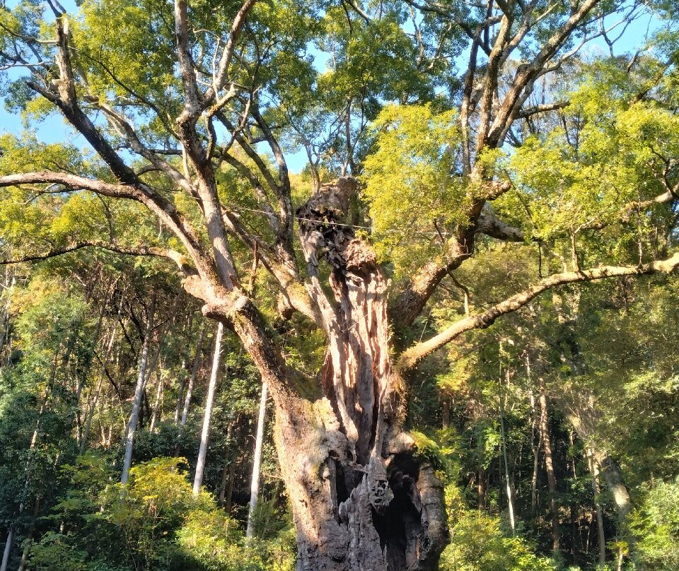 Takeo no Okusu-武雄市必去景点