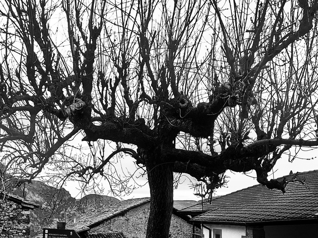 Bermiego-Quiros Municipality必去景点