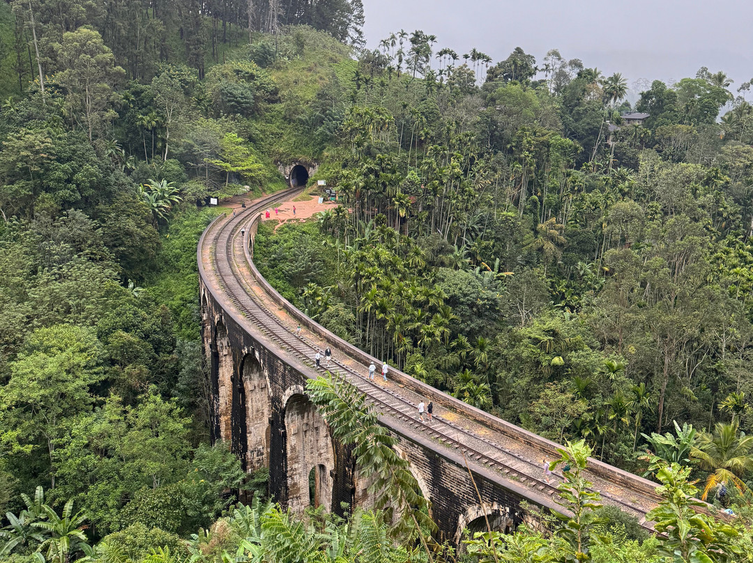 Cloud Tours Sri Lanka景点图片