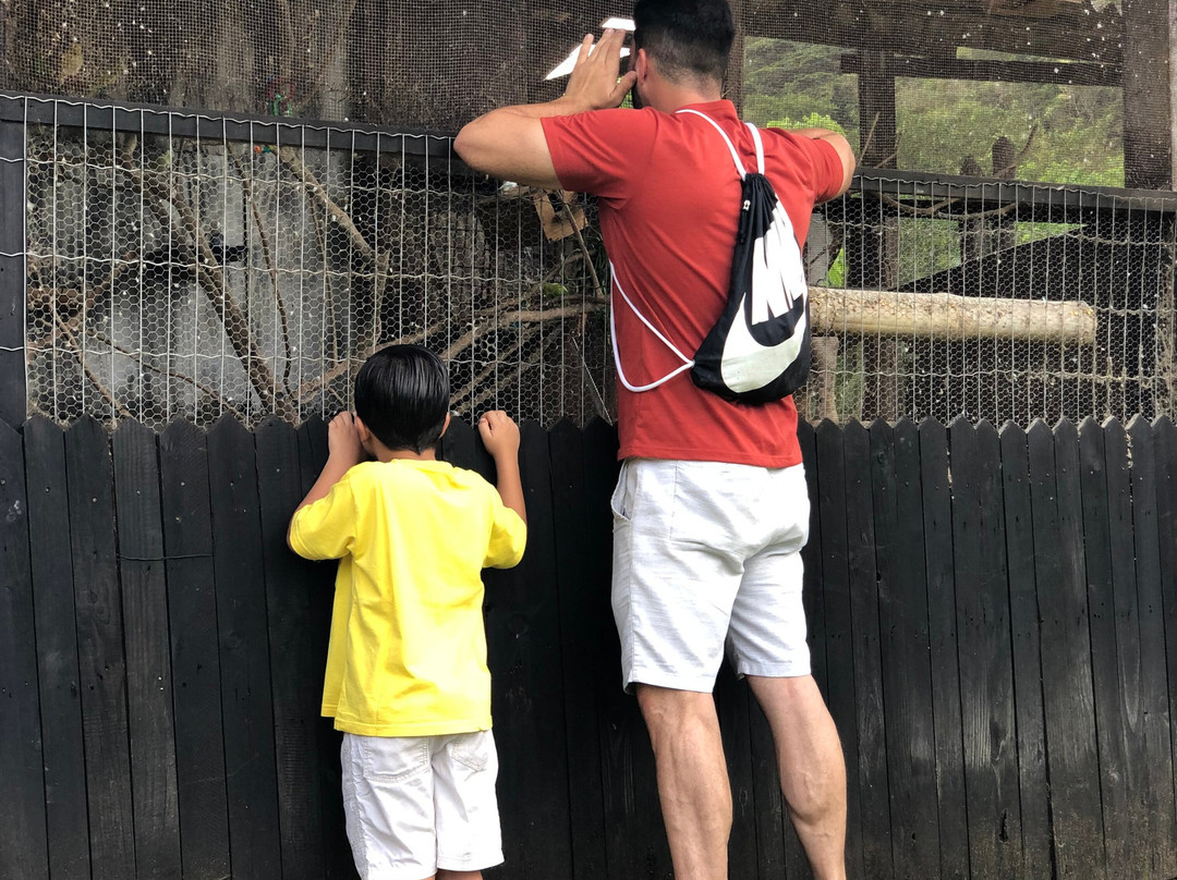 From Penedo Adventure - Mini Fazendinha Para Crianças-Penedo必去景点