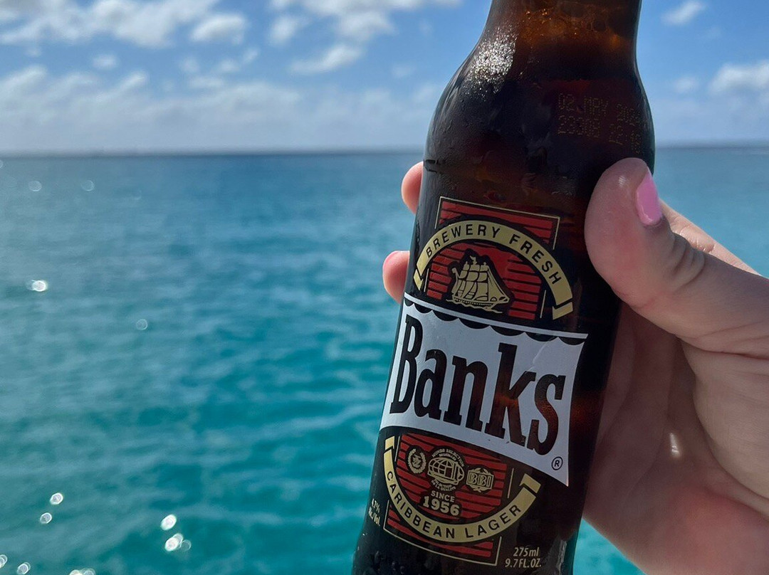 Captain Dwayne Barbados / Livity Cruises-巴巴多斯必去景点