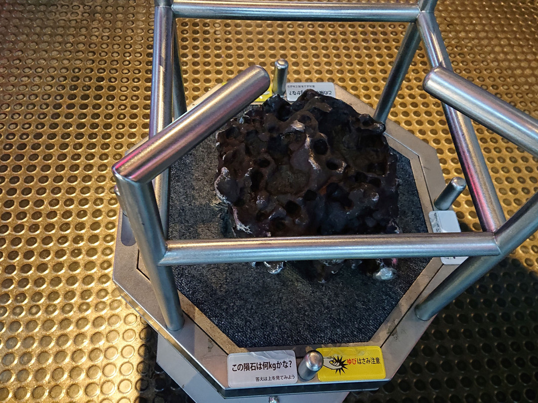 Museum Park Ibaraki Nature Museum-阪东市必去景点