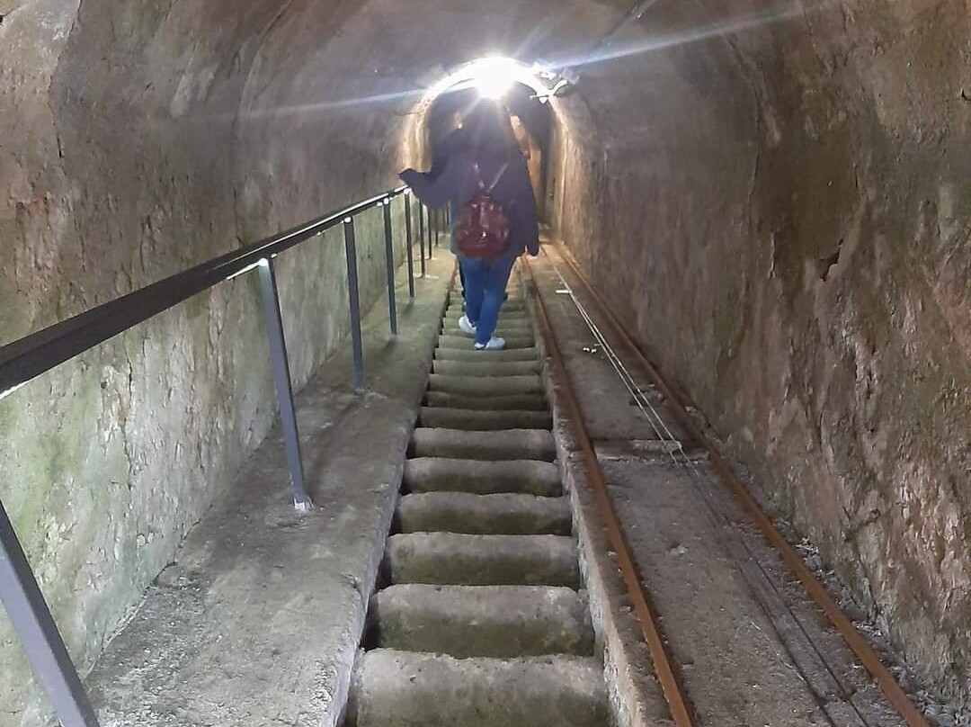 Cantina Del Tufaio景点图片