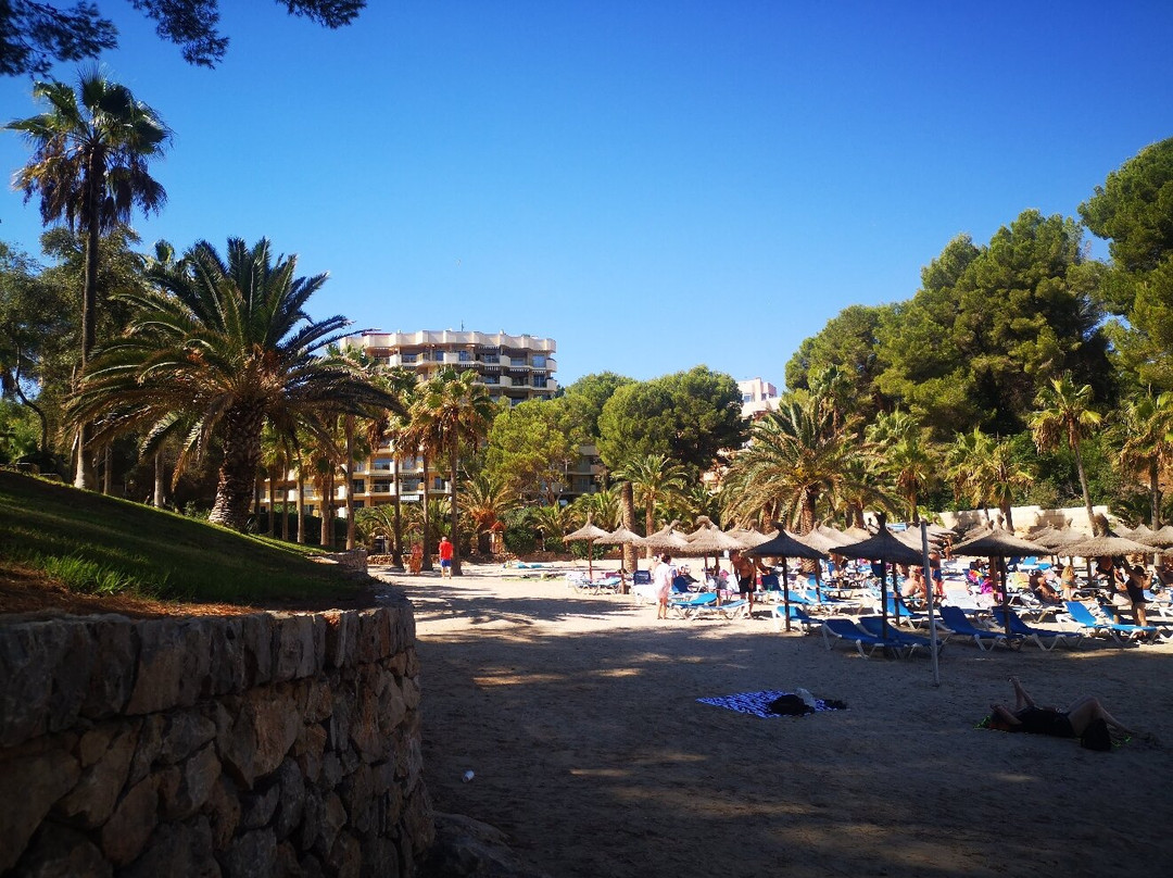 Cala Vinyes beach-Cala Vinyes必去景点