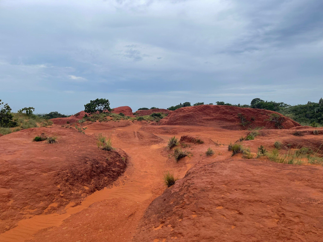 Red Desert-Port Edward必去景点